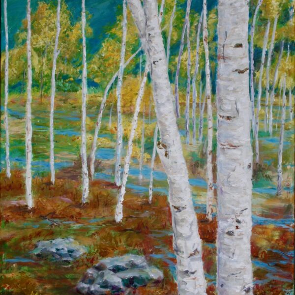Mountain Birches in the Fall in New England , 30x40, Acrylic $1000  