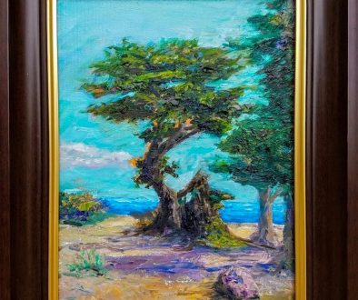 The Tree in Monterey - 11x14, Oil, SOLD