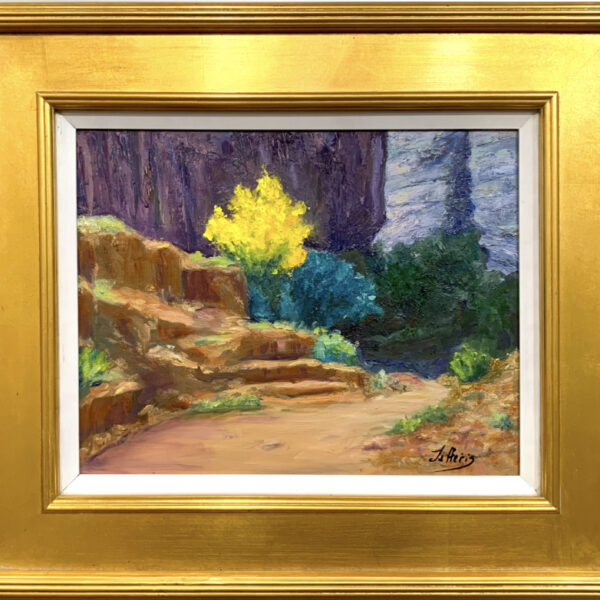 Yellow Lady - Canyon De Chelly - AZ