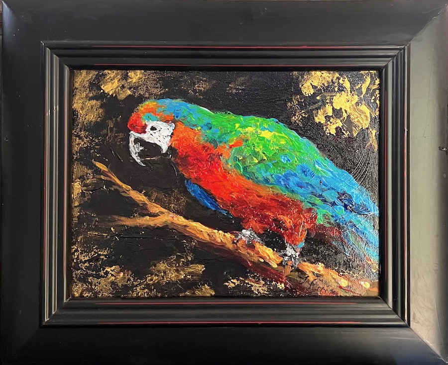 Macaw in Moonlight, 9x11, Acrylic $125
