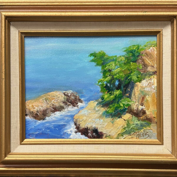California Coast, 8x11, with frame 11x14,  Original Oil, $150